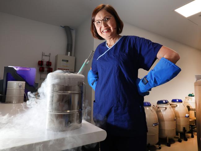 The first dedicated egg freezing clinic to be opened on the Gold Coast by Dr Miriam Lee, the first female Gynaecologist to practice solely in fertility treatment and gynaecology. Dr Miriam Lee in the Focus Fertility Lab.  Picture Glenn hampson