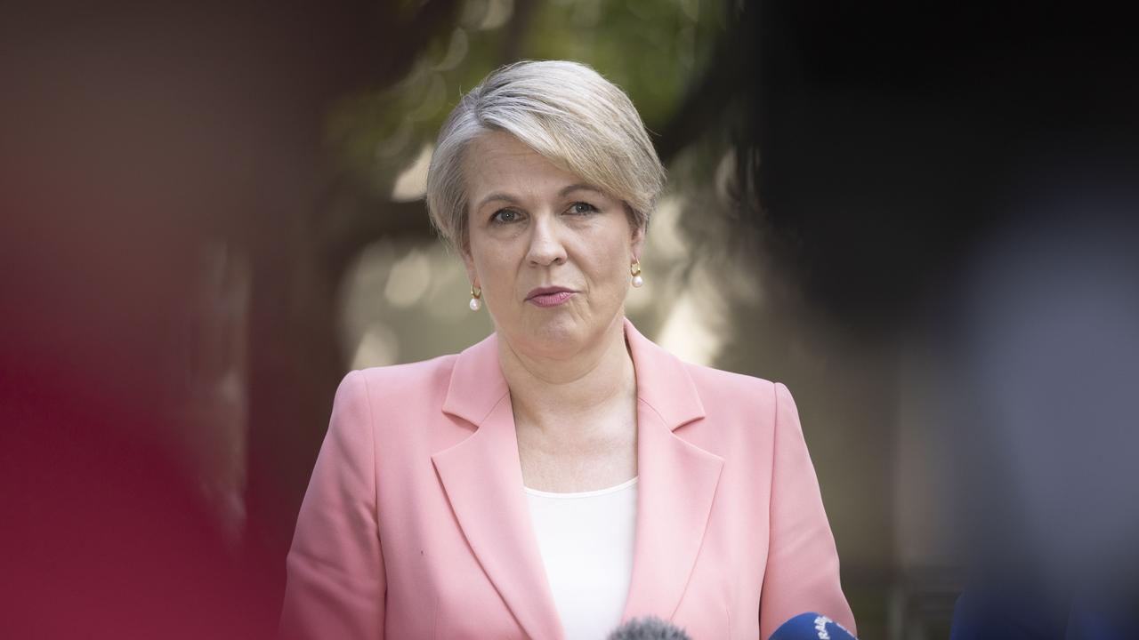 Tanya Plibersek Coy On Leadership Claim After Book Bombshell The Australian