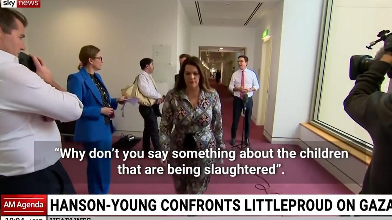 The Greens senator interjected David Littleproud's press conference, stating: 'Why don’t you say something about the children being slaughtered?' Picture: Supplied