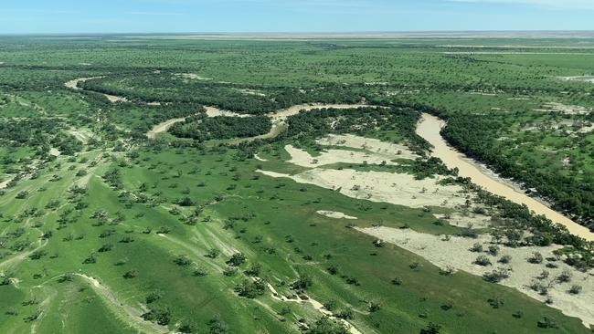 The banks of the Diamantina River near Birdsville have sprung to life following recent floods. Picture: Outback Spirit Tours