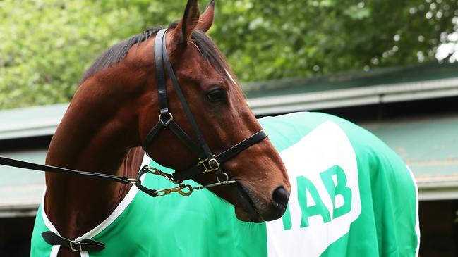 Santa Ana Lane is the horse to beat in The Everest. Picture: Getty Images