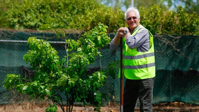 Lord Mayor Kon Vatskalis with one of 4000 trees to be planted around Darwin this year. Picture GLENN CAMPBELL