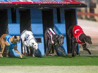 (right) 1- Watch the Wasp jumps out to a good start and streets the field in the final of the Westlawn Finance Stayers Cup. Picture: Adam Hourigan