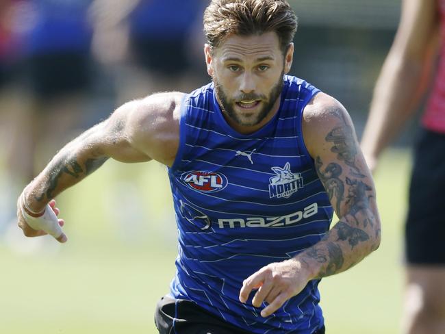 Caleb Daniel will have a key role in North Melbourne’s backline. Picture: Michael Klein