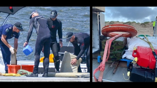 The search for boatie Tony Higgins