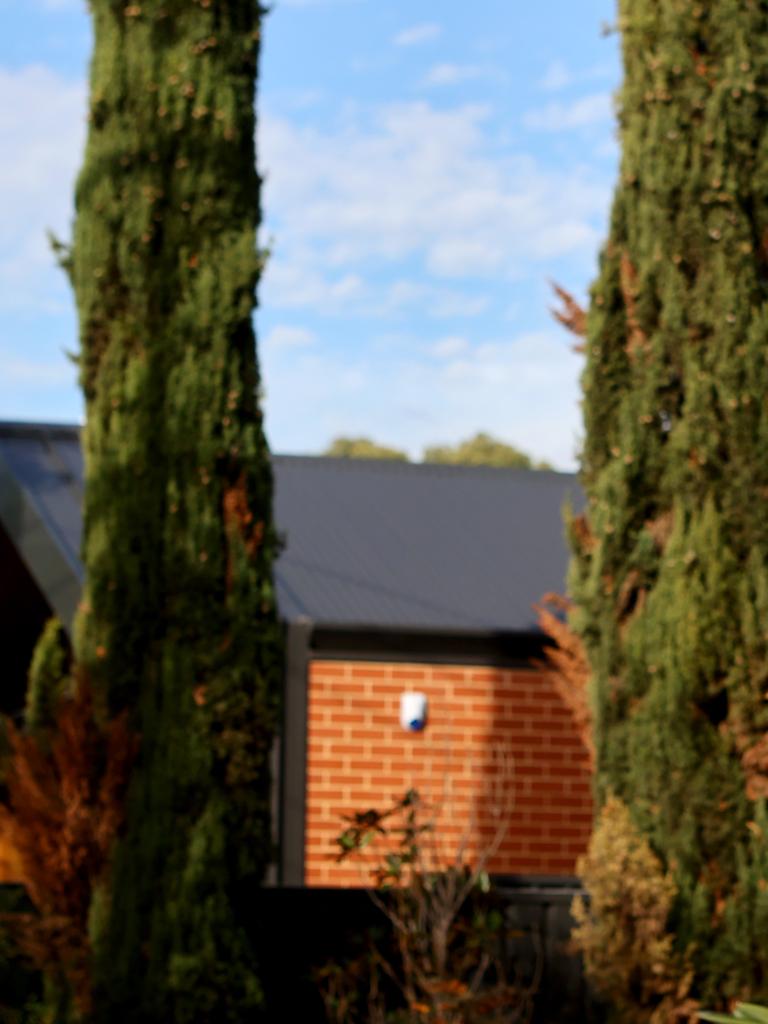 The Port Macquarie woman claimed her neighbour’s hedge was blocking her sunlight. Picture: NCA NewsWire / Kelly Barnes