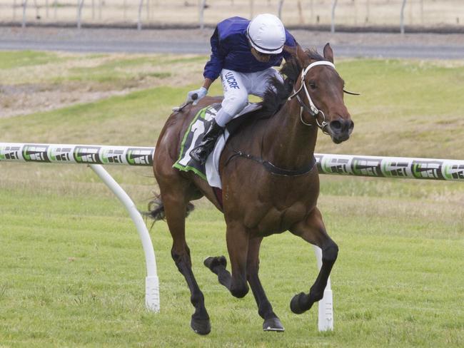 Dylan Caboche rides Metro Tramp to victory to give Dan Clarken and Oopy McGillvray a double at Morphettville. Picture: Atkins Photography