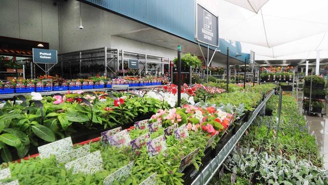 The nursery area at the new Pimpama Bunnings. Photo: Scott Powick.