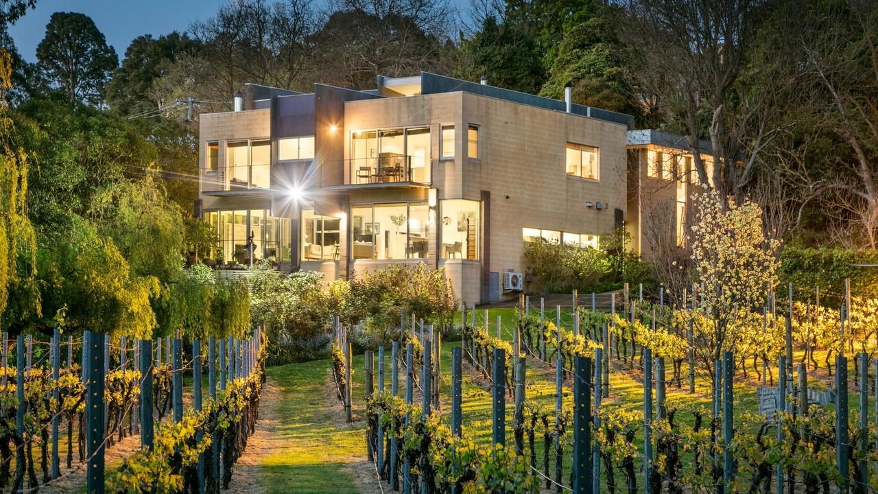 A vineyard with 1000 vines features in this inner-city backyard.