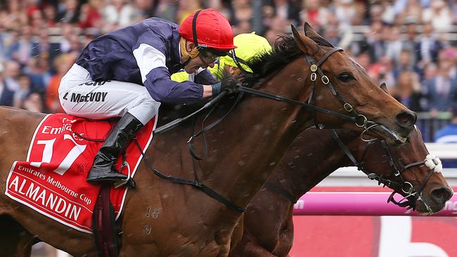 Almandin has not raced since his thrilling win in the Melbourne Cup last year. Picture: Ian Currie