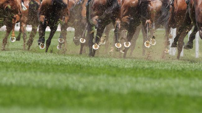 You won’t see this on the Gold Coast on Melbourne Cup day.