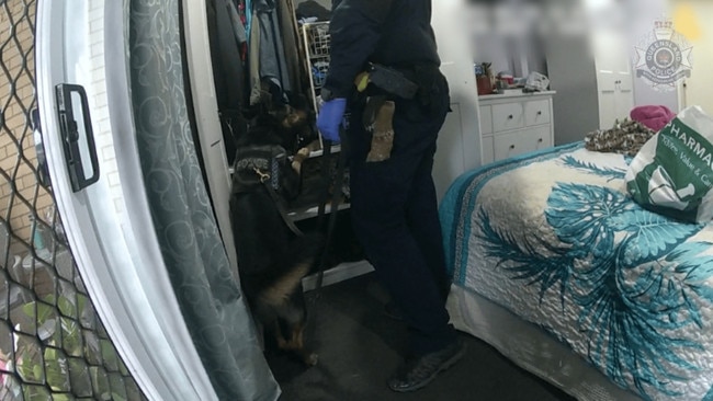 Police released vision of the arrest of a 69-year-old Brendale man and a search warrant at a Brendale property on May 29. Picture: Queensland Police
