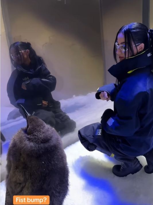 Katy Perry visits viral baby penguin Pesto at Sealife Melbourne Aquarium. Picture: Instagram