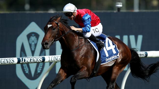 Dajraan is ready to peak third up. Picture: Jason McCawley/Getty Images