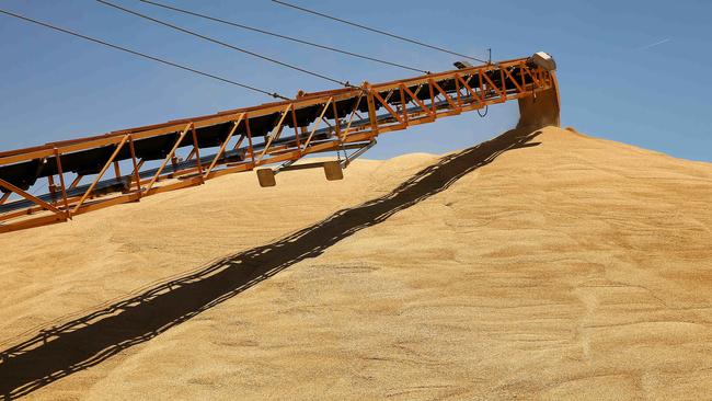 GrainCorp is spinning off its global malting business. Pic: ANDY ROGERS