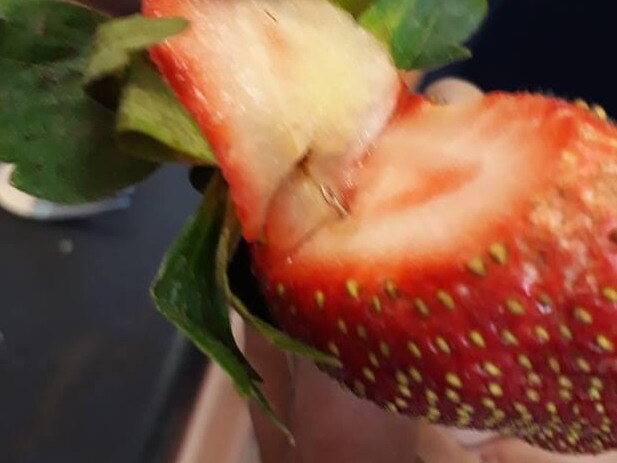 Gladstone woman Angela Stevenson said she got two needles from one punnet of Berry Obsession strawberries in the past week