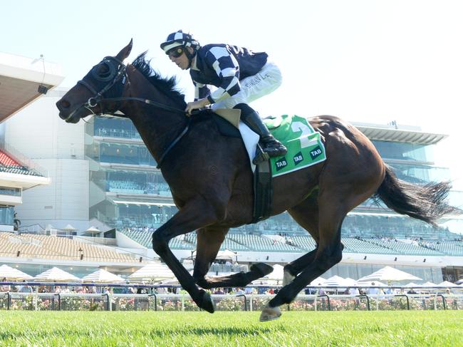 Young Werther (NZ) ridden by Damian Lane wins the TAB Australian Cup Prelude at Flemington Racecourse on March 09, 2024 in Flemington, Australia. (Photo by Brett Holburt/Racing Photos via Getty Images)