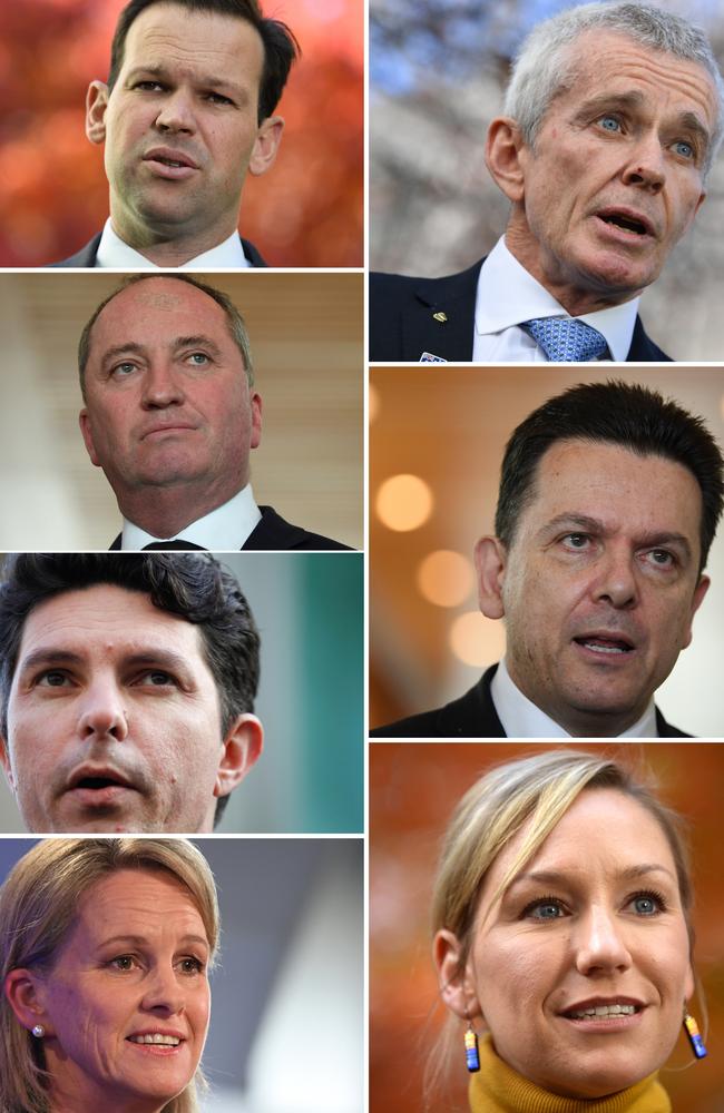 The original Citizenship 7 (from left-right, top-bottom) Matt Canavan, Malcolm Roberts, Barnaby Joyce, Nick Xenophon, Scott Ludlam, Fiona Nash, and Larrissa Waters