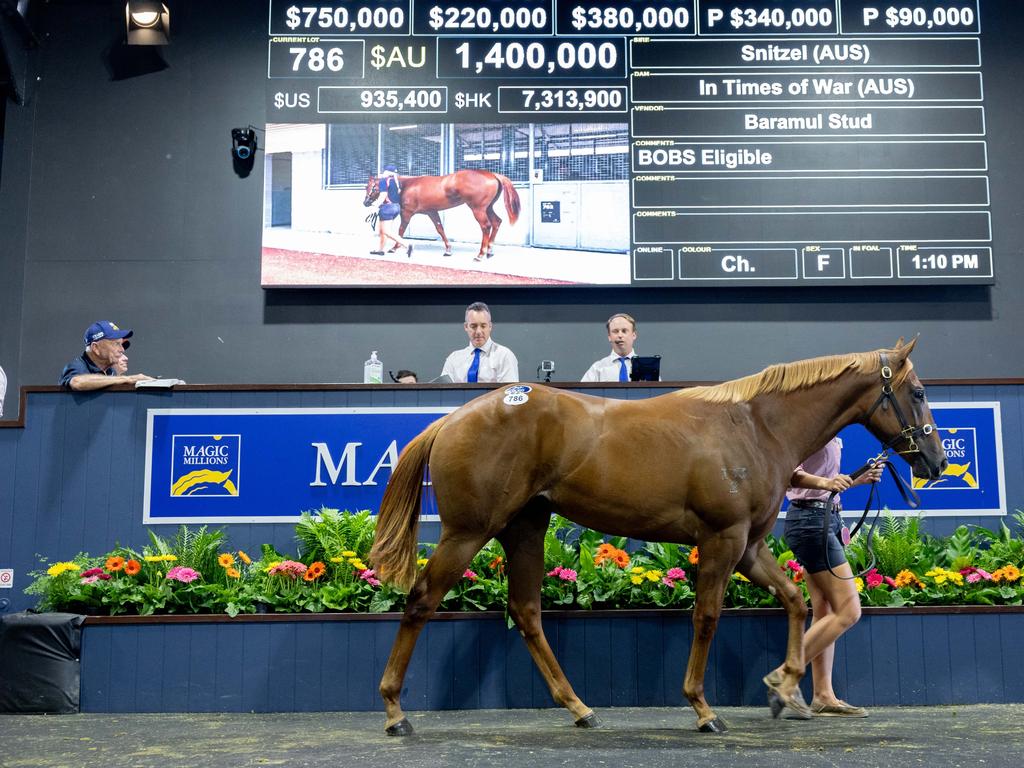 Magic Millions posts near record sale value in 2024 The Australian