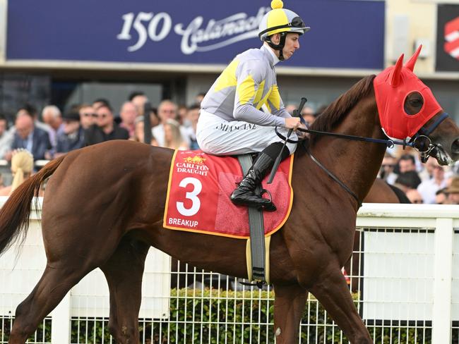 MELBOURNE, AUSTRALIA - OCTOBER 21: Damian Lane riding Breakup heads to the start of Race 9, the Carlton Draught Caulfield Cup,during Melbourne Racing at Caulfield Racecourse on October 21, 2023 in Melbourne, Australia. (Photo by Vince Caligiuri/Getty Images)