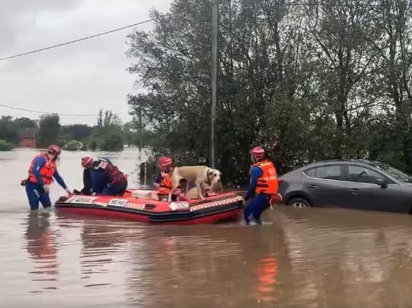 SES video of flood rescue along Kerry Rd Schofields. Picture: NSW SES