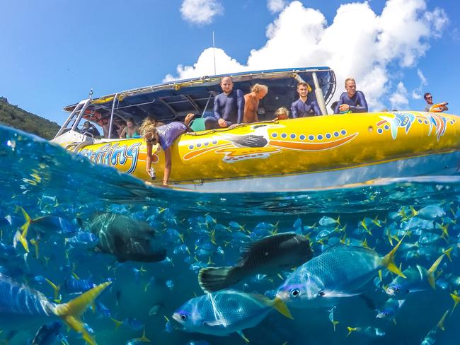 Ocean Rafting Whitsundays Southern Exposure tour