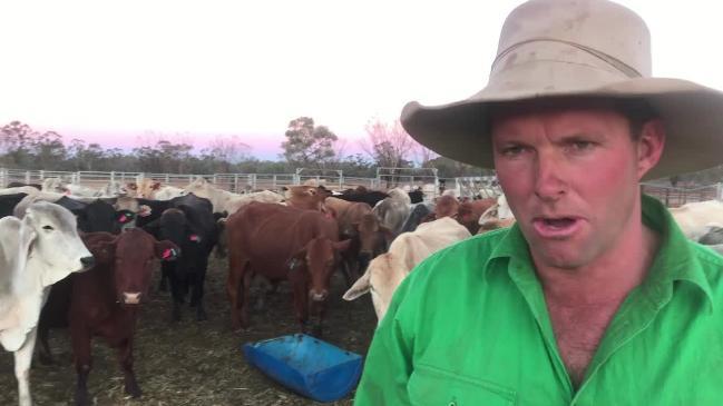 Queensland family struggles in drought