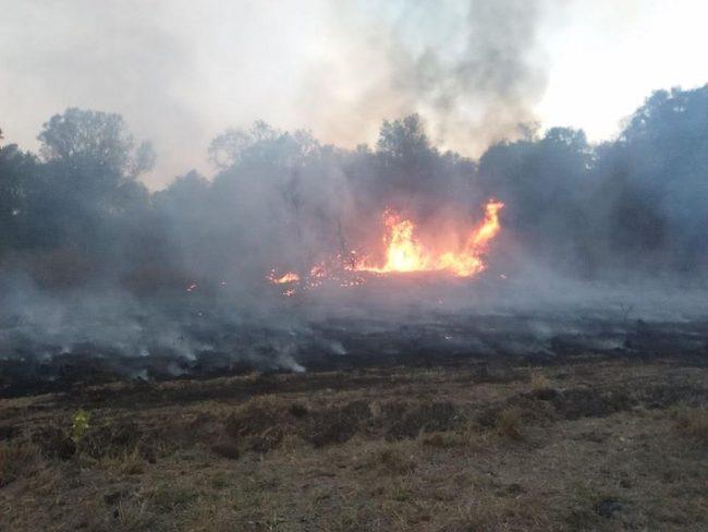 A view of a fire near Kingaroy on Sunday. Picture: Brooklands Rural Fire Brigade/Facebook