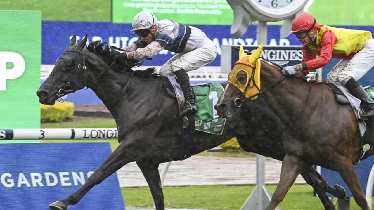 Local gelding Bianco Vilano is chasing victory in the Albury Cup. Picture: Bradley Photos