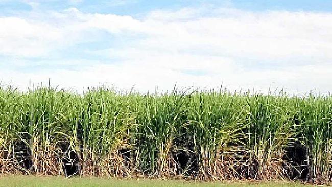 DRY: Ian Causley says Valley farmers won’t reap the benefits like other parts of the nation. PHOTO: ZACH HOGG