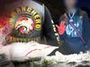 Youth gang foot soldiers recruited for bikie drug trade