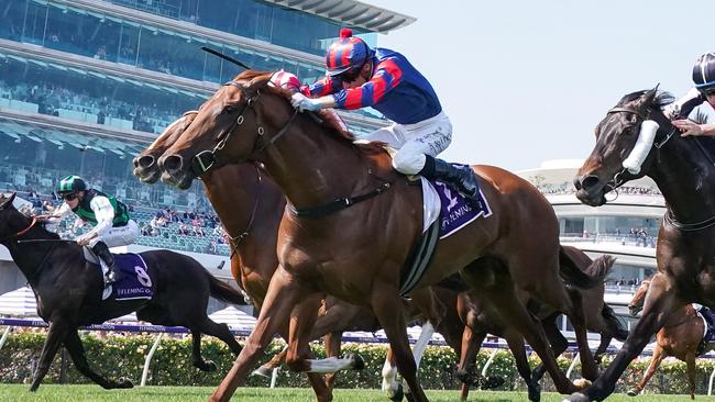 Picaroon bursts through the pack to win the Melbourne Cup Carnival Country Final at Flemington on Thursday. Picture: Scott Barbour/Racing Photos via Getty Images