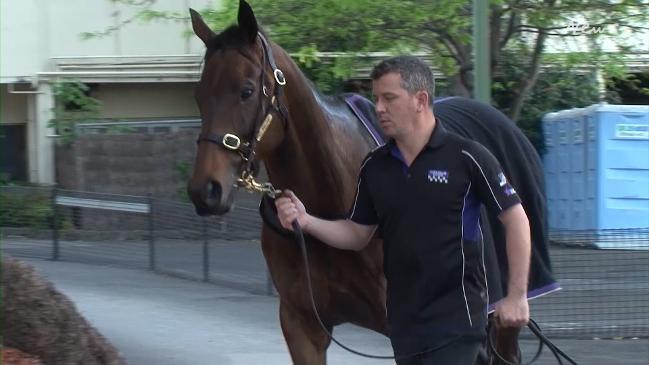 Overlay of Winx and trainer Chris Waller at Moonee Valley stables and track