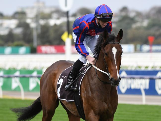 MELBOURNE, AUSTRALIA - SEPTEMBER 11: John Allen riding Ayrton to the start of race 5, the The Sofitel, during Melbourne Racing at Flemington Racecourse on September 11, 2021 in Melbourne, Australia. (Photo by Vince Caligiuri/Getty Images)