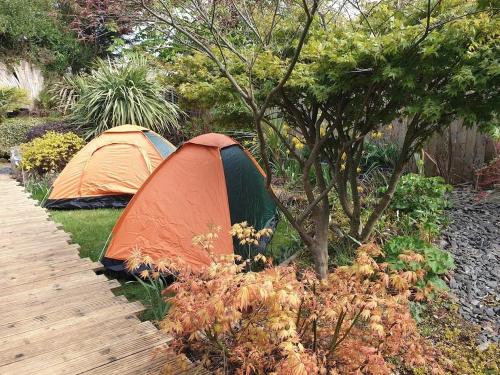 The stay is described as a ‘tropical oasis’. Picture: Airbnb