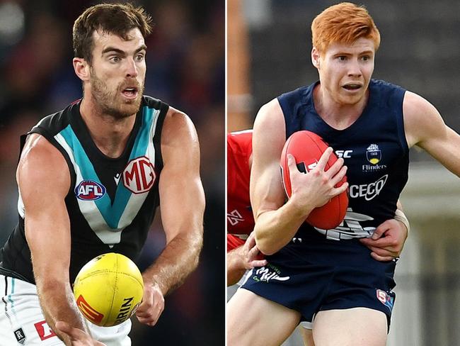 Port District signings Scott Lycett Joey Haines Matt Rose