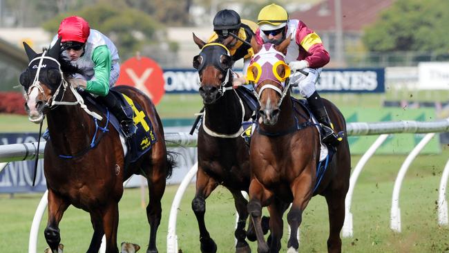 Dance Of Heroes proved too strong at Rosehill over 2000m last Saturday and has the versatility to cope with the 1800m. Picture: Simon Bullard