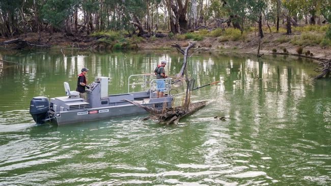 Arthur Rylah fisheries researchers on the Mullaroo Ck, near Lindsay Island.