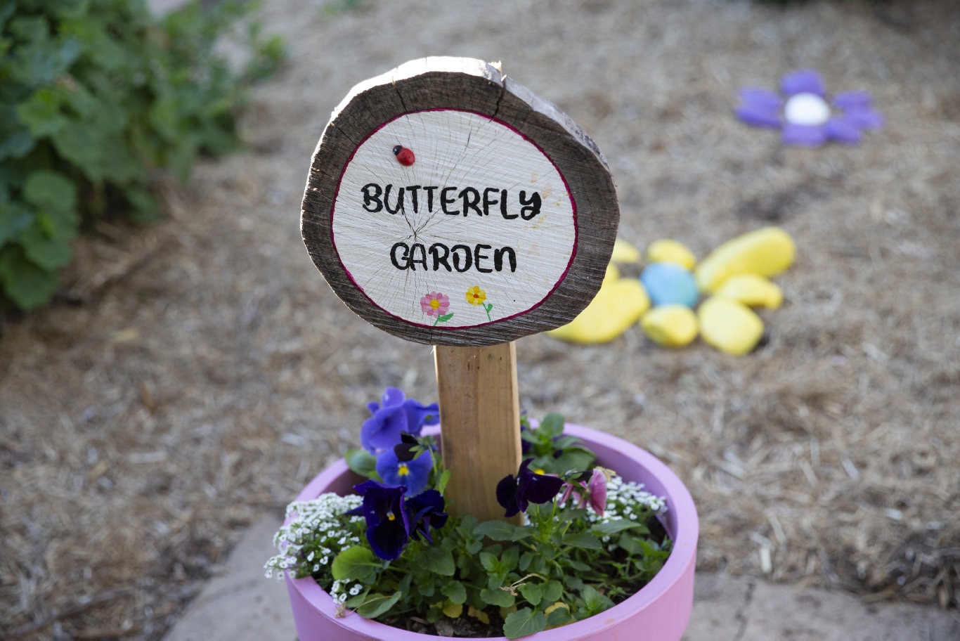 Garden For Good. Gowrie State School. Picture: Sarah Marshall