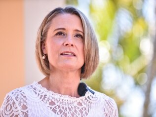 Labor leader Anthony Albanese described Fowler candidate Kristina Keneally (pictured) as a ‘great migrant story’ Picture: NCA NewsWire / Flavio Brancaleone