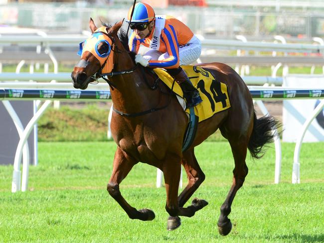 Kiwi Melody Belle looks a good thing at Doomben on Saturday. Picture: Grant Peters, Trackside Photography