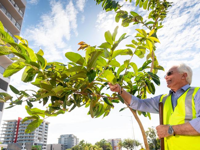 The first trees are being planted at Daly St on the CBD beautification project, Darwin. Lord Mayor of Darwin the Hon. Kon Vatskalis takes great pride in planting the first tree of the project.Picture: Che Chorley