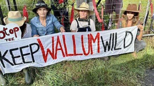 Save Wallum protesters. Picture: Supplied/Facebook