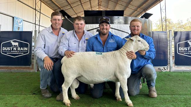 White Dorpers sellers, Angus, Zavier, Jack and Thomas Cullinan from the Dust n Rain stud with the top priced ram at their sale, purchased by Rick Jones Broken Hill for $9700. Picture: Supplied