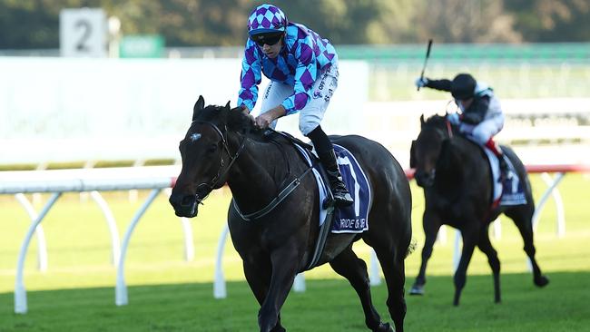 Queen Elizabeth Stakes winner Pride Of Jenni had her first jumpout of her Cox Plate campaign at Cranbourne on Monday. Picture: Getty Images.