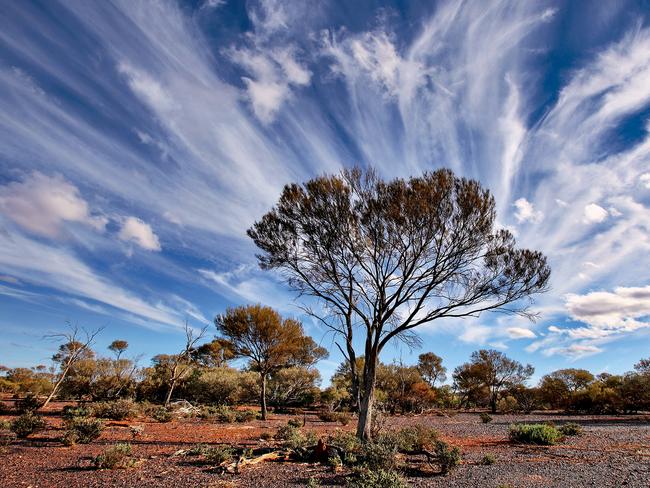 Pretty ... Cirrus clouds near Mount Magnet, WA. Picture: Casper Smit