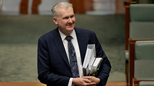 Immigration Minister Tony Burke. Picture: Getty Images