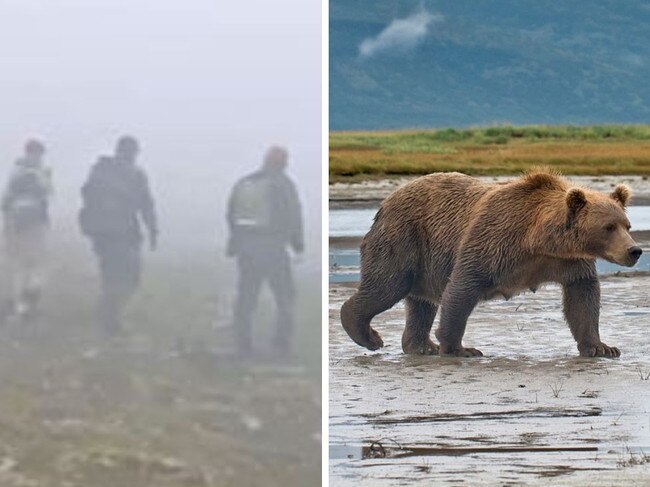 Rescuer saved by bar cam at Katmai National Park.