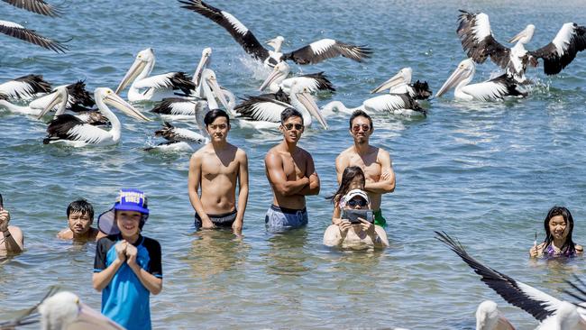 People enjoying the water near Charis Seafoods staff. Picture: Jerad Williams