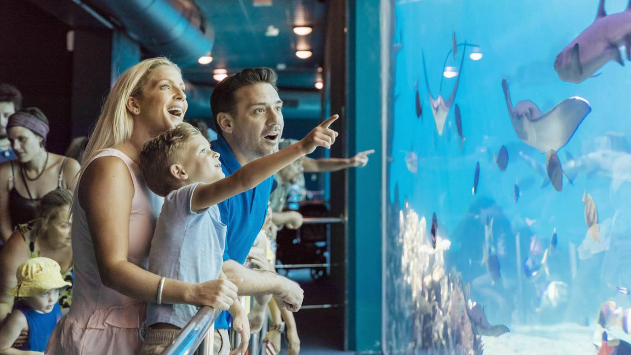 Take the kids to Sea World Resort and enjoy a family holiday.